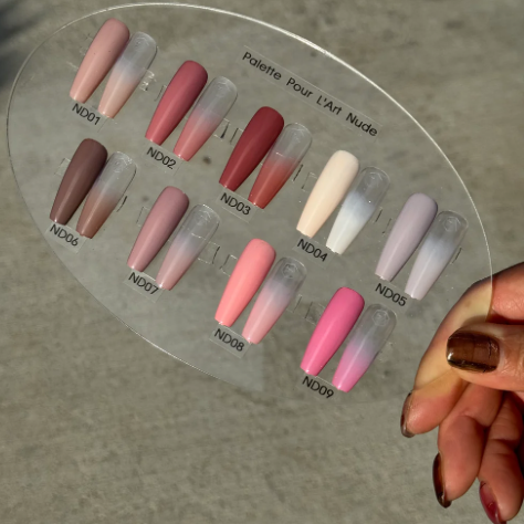 Presto Mini Art Sponge Set